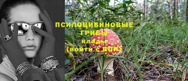 спиды Алексин