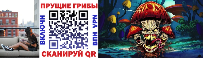 Галлюциногенные грибы мухоморы  Темников 